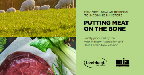 Red Meat Sector Briefing to Incoming Ministers