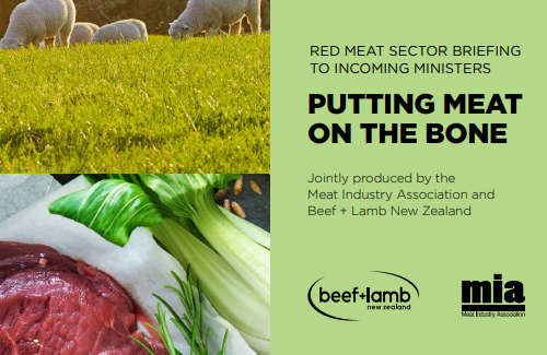 Red Meat Sector Briefing to Incoming Ministers