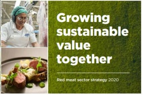 Red Meat Sector Strategy 2020