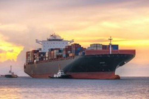 Regulatory Standards Bill submission