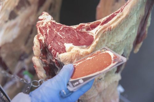 Review of Waste Feeding Regulations submission
