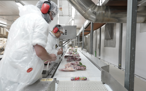 Summary of the red meat sector’s migrant workforce