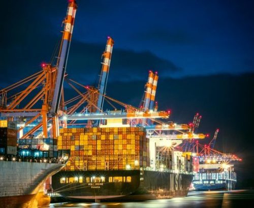 New Zealand red meat sector achieves record value for sheepmeat during October