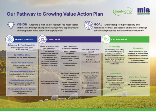 Our Pathway to Growing Value Action Plan