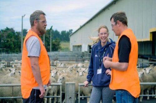 Employment Relations Amendment Bill Submission