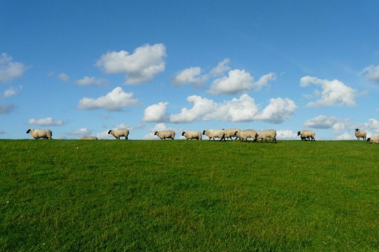 Government announcement on methane targets and pricing a positive step forward  